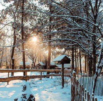 Ulmen Apartment | Eifelhüttchen Blaumeise