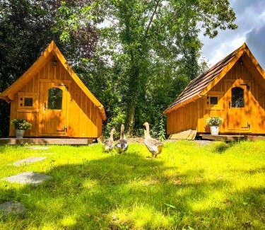Ulmen Apartment | Eifelhüttchen Blaumeise