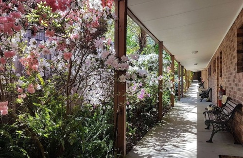 Eildon Hotel | Eildon Parkview Motor Inn. Room 8