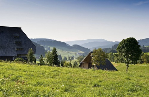 Waldau Apartment | Einzelzimmer mit Dusche/WC und Balkon