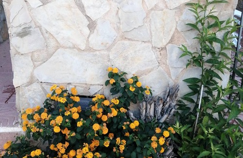 Mazarron House | El Castillo House. (Only 5 km from the beaches of Mazarrón)