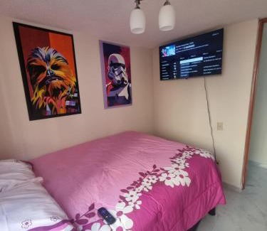 Venustiano Carranza Apartment | EL DEPA DE NATALIA max 7