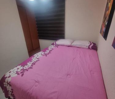 Venustiano Carranza Apartment | EL DEPA DE NATALIA max 7