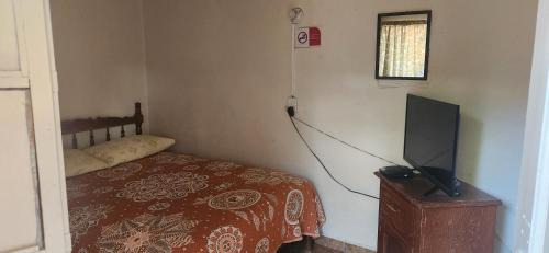 Matehuala House | El Jacalito