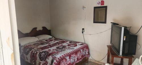 Matehuala House | El Jacalito