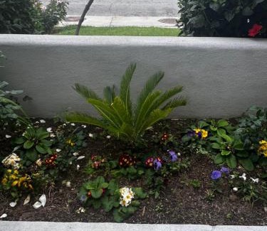 Del Aire Hotel | El Segundo Inn