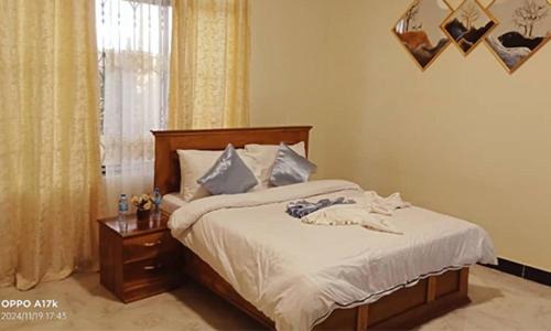 Manyoni Apartment | El-Shaddai Homestay