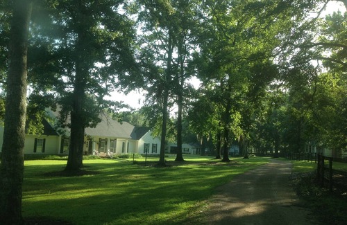 Monticello Cottage | Elegant 2 Bedroom, 2 Bath Guest House close to Tallahassee. Whole Home Generator