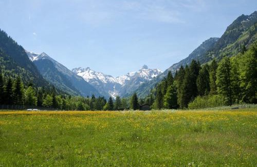 Oberstdorf Hotel | Elements Hotel Christlessee