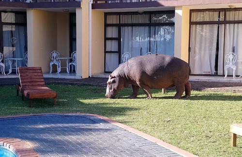 St. Lucia Hotel | Elephant Lake Hotel