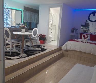 Centrul Vechi Apartment | Elisei junior
