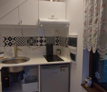 Centrul Vechi Apartment | Elisei junior