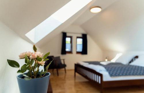 Szecseny House | Elizabeth Cottage Benczúrfalva