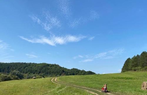 Szecseny House | Elizabeth Cottage Benczúrfalva