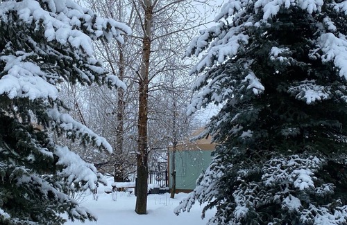 Rigby Cabin | Enchanting 1-bedroom Yurt "Here We Have Idaho" in Ririe, sleeps 4