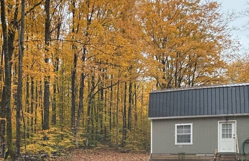 Frederic Cabin | Enchanting cabin with AC in charming Frederic. 1 bedroom studio in the woods