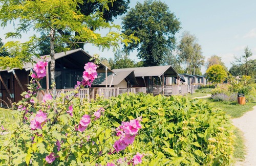 Voorthuizen House | Enjoy a unique stay in the Tiny Safari House at De Boshoek: Comfort in nature for 4 people with luxurious amenities and a great location in the Veluwe.