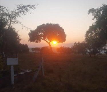 Mara North Conservancy Other | Enkereri Camp Maasai Mara