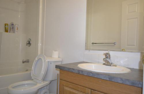 Northwest Calgary Apartment | Entire Walkout Suite with Bathroom, Full Kitchen and Living Room near Banff