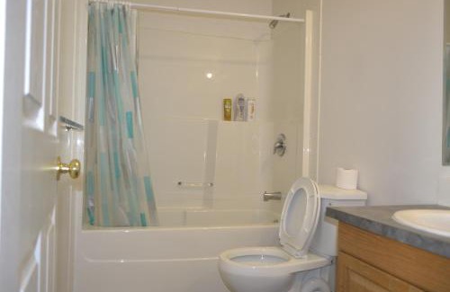 Northwest Calgary Apartment | Entire Walkout Suite with Bathroom, Full Kitchen and Living Room near Banff