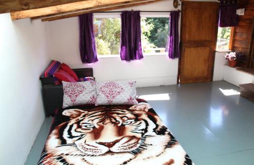 Villa Los Coihues Apartment | Entre Lagos y Montañas