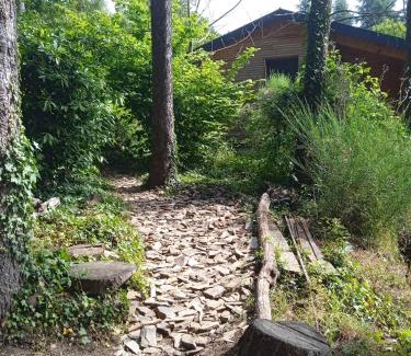 Le Vigan House | Entre les cèdres