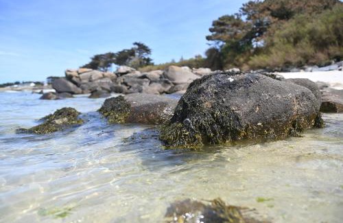 Plougoulm Bed & Breakfast | Entre Terre et Mer