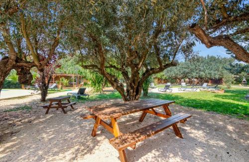 Benicolet Villa | Entre Viejos Olivos