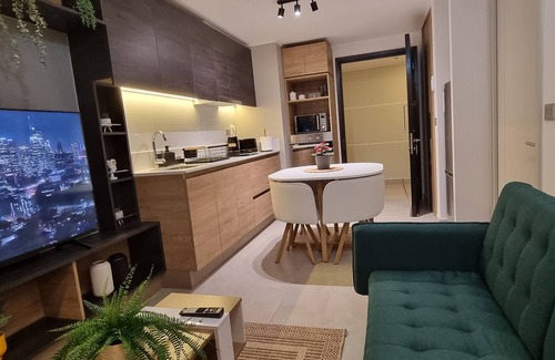 Santiago Apartment | Equipped and beautiful new apartment with view to the Andes Mountains!