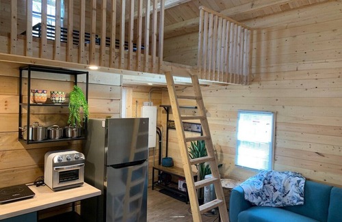Fenelon Falls Cabin | "Equuleus" Lofted Kabin
