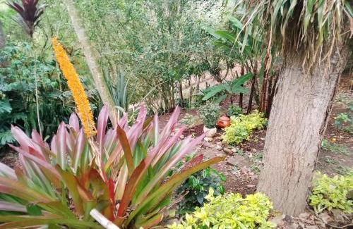 Macheta House | Era Vella