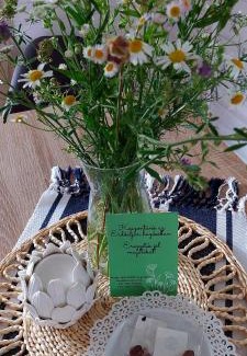 Sukoro House | Erdőalján Házikó