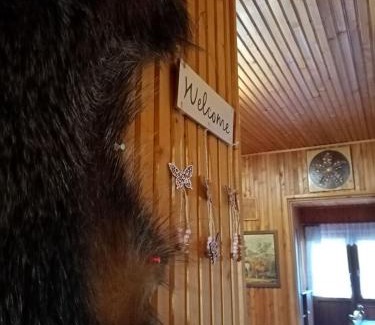 Haromhuta House | Erdei Szalonka Vendégház