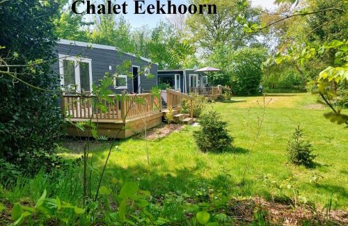 Meppen Ski Chalet | Erfgoed de Boemerang - Chalets