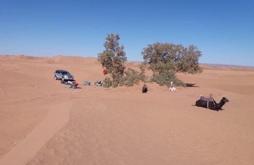 M'Hamid El Ghizlane Other | Erg Lihoudi Dunes & Bivouac