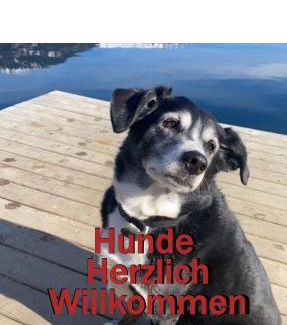 Spittal an der Drau Hotel | Erlebnis Post - Stadthotel mit EigenART