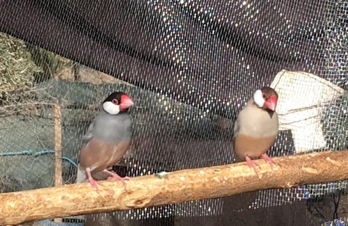 Taliouine House | Escale Rando Taliouine