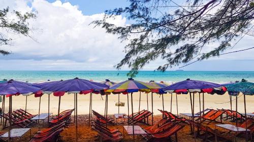 Mae Pim Apartment | Escape Condominiums Beachfront Suites - Mae Phim