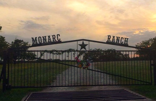 Fredericksburg Cottage | Escape the city life; minutes from local vineyards; private hot tub; sleeps 6