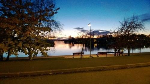 Toolo Apartment | Eskolampi