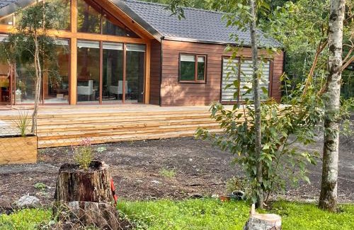 Pucon House | Espectacular Cabaña, 3D2B, con tinaja, recinto privado, 5 minutos del centro de Pucon