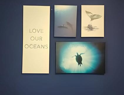 Santo Domingo Apartment | Essential Stay Sto Dgo Este