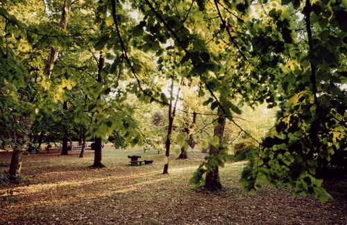 Ovada House | Estate with pool in Monferrato