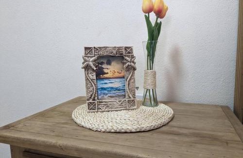 San Jose del Cabo Apartment | Estudio Balandra cerca del aeropuerto SJD