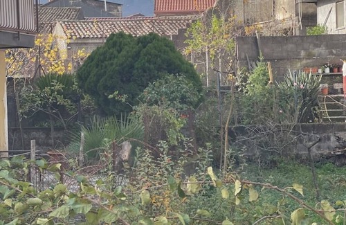 Rovittello House | Etna Sunshine Apartments