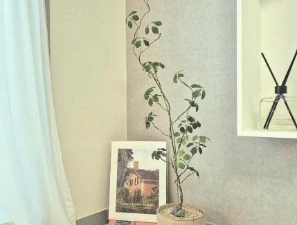 Yeongi-gun Apartment | Eumm stay