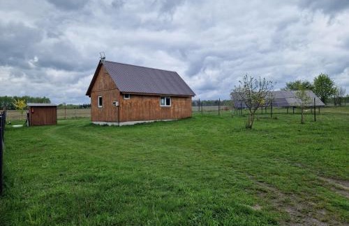 gmina Liw House | Eurostruś - zoo, domki