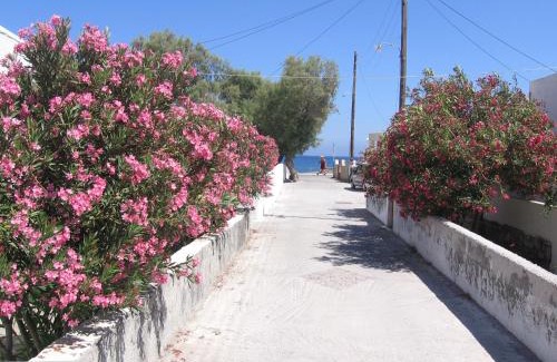 Perissa House | Evelina Beach Pension for Couples&Families romantic partnerships&family life, a breath away from the Black Beach offer plenty of accommodation type to suit every traveler's needs-Economic Rooms-Thematic Rooms-Design Rooms-Studios-Small Apartments