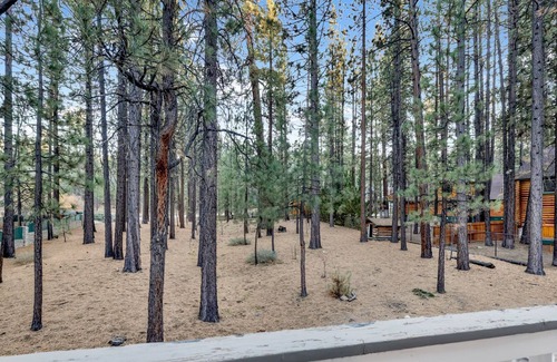 Winter Park Ski Chalet | Evergreen Estate- Relaxing Family Resort Chalet