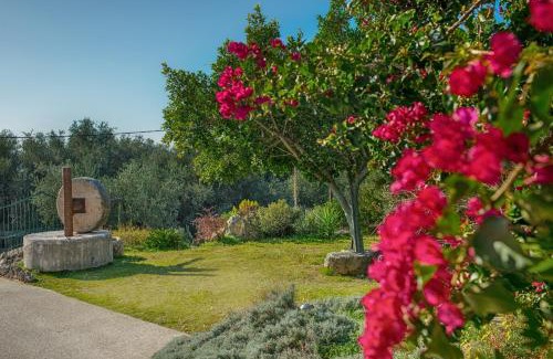 Leivathos Apartment | Evianna Studios